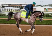 Horse Racing Picks for Saturday, December 13 from Mike Somich Kentucky Derby horse Rocket Can on the track on Sunday. April 23 2023 at Churchill Downs