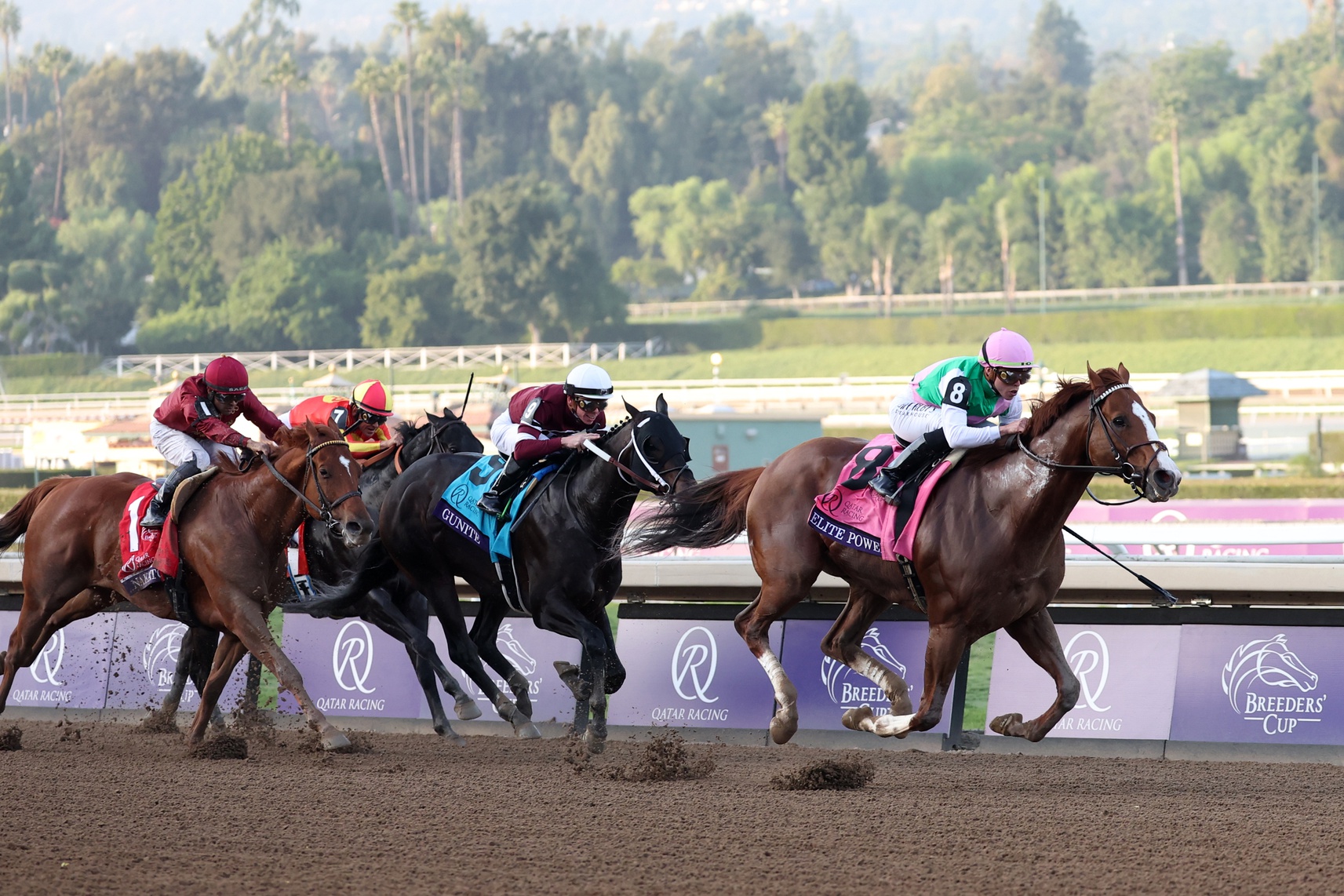 Mr. Ed’s Best Bets for Gulfstream on Saturday, February 3