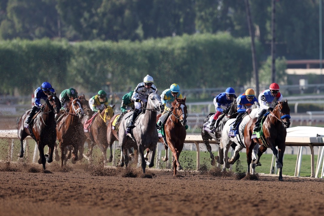 gulfstream park horse racing odds
