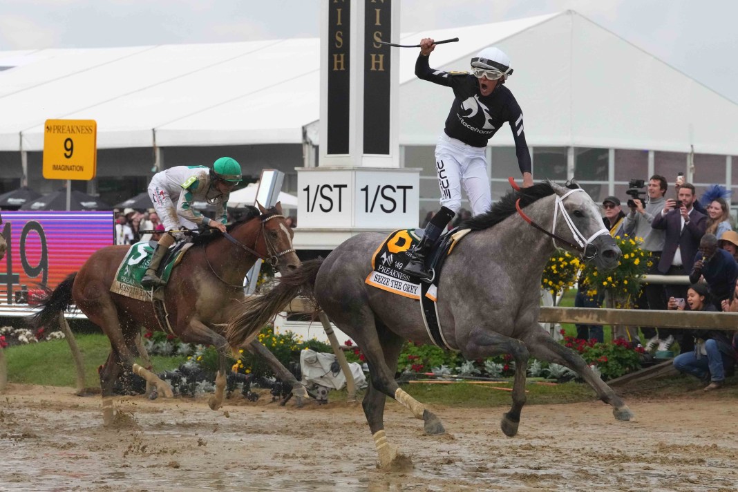 seize the grey and mystik dan preakness stakes