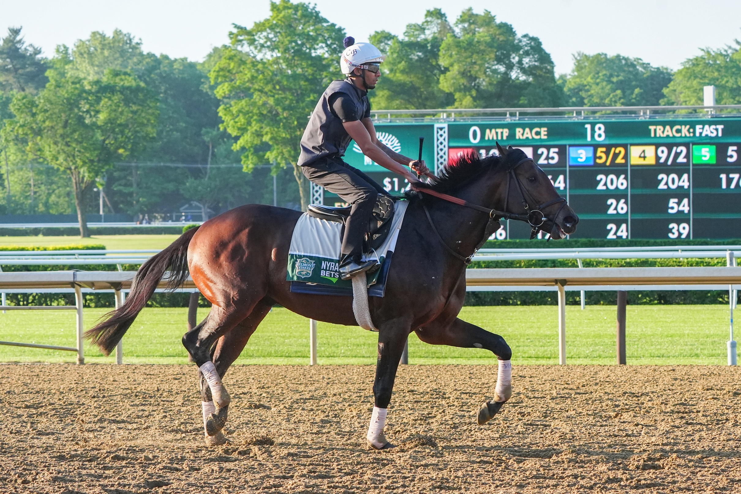 Belmont at Saratoga Picks: Belmont Stakes 2024 Odds and Predictions