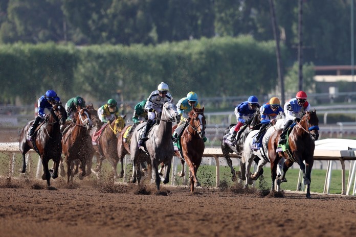 Santa Anita, horse racing