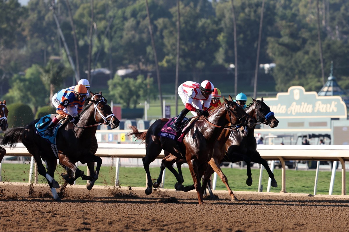 Horse Racing Picks Today at Santa Anita for Monday, May 25
