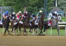 Saratoga Horse Racing Picks and Predictions for Sunday, August 17 SAratoga