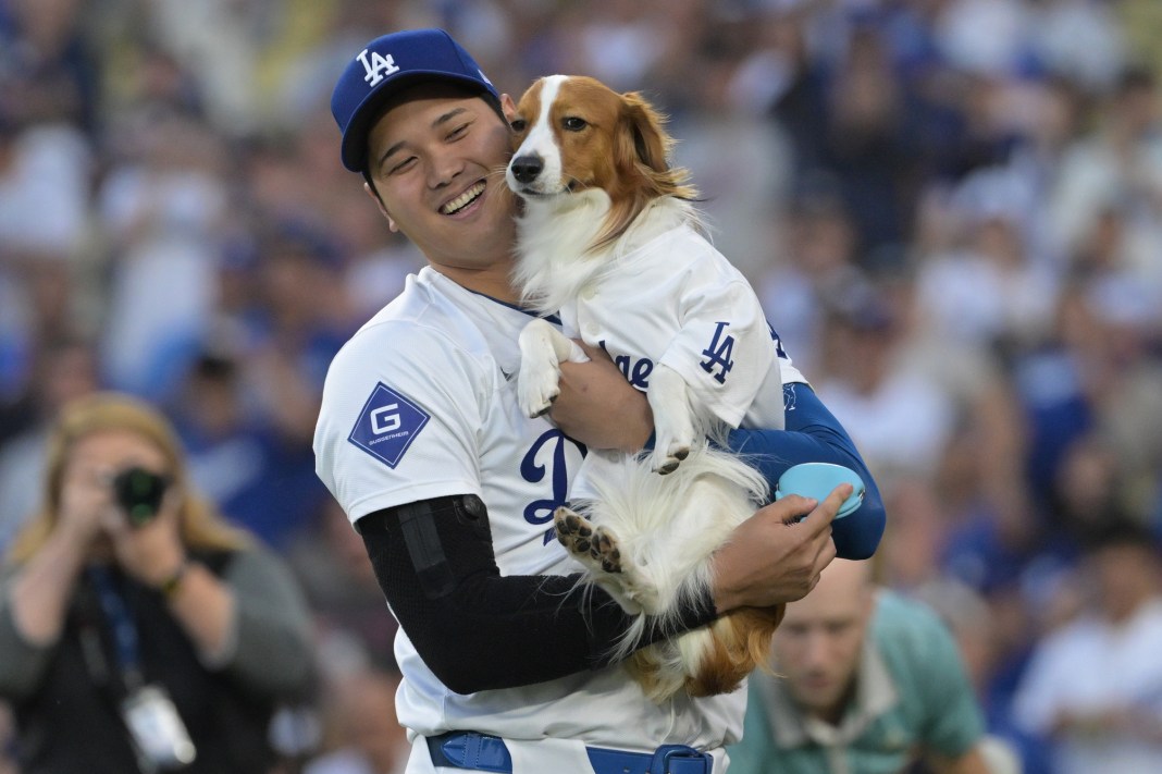 shohei ohtani and his dog