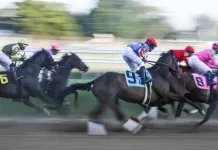 Churchill Downs Horse Racing Picks and Predictions for Saturday, November 29 Horses and jockeys speed around the first turn during a race at Twilight Thursday for the 2023 opening of the Fall Meet at Churchill Downs on September 14, 2023.