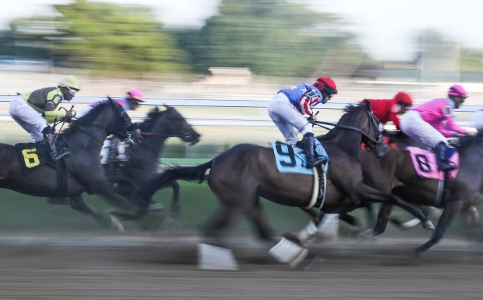 Churchill Downs, horseracing.