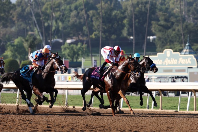 santa anita, horse racing