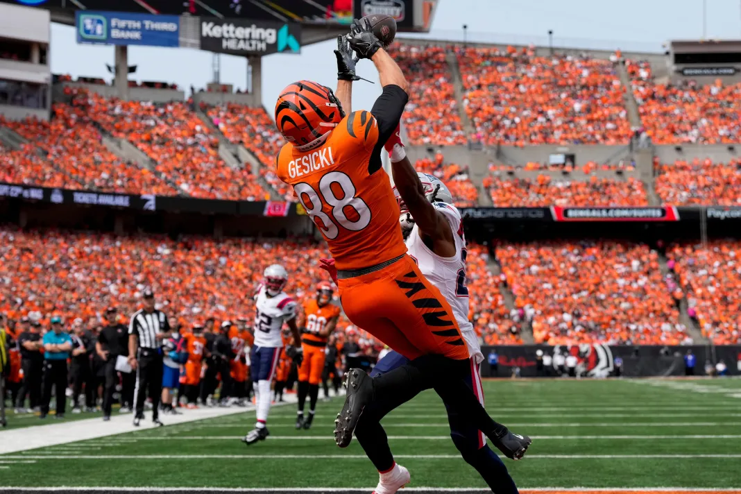 mike gesicki of the cincinnati bengals