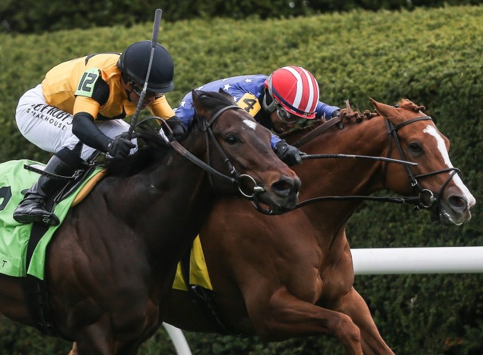 Jockey Reylu Gutierrez aboard Neat, on the inside rail, narrowly edges out challenger Cugino, ridden by Jockey Javier Castellano on the outside, during the Transylvania Stakes for three-year-olds at the 2024 Spring Meet in Lexington, Kentucky, on April 5, 2024.