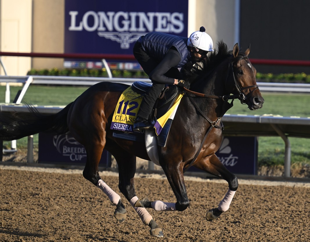 sierra leone breeders cup classic