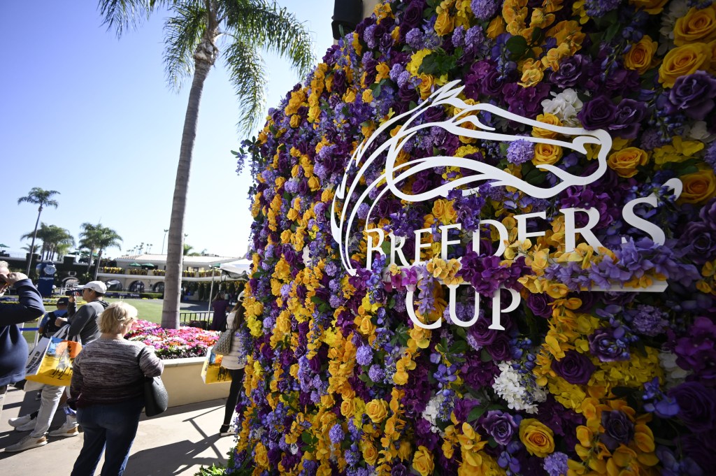 Breeders’ Cup Classic at Del Mar Picks and Horse Racing Predictions