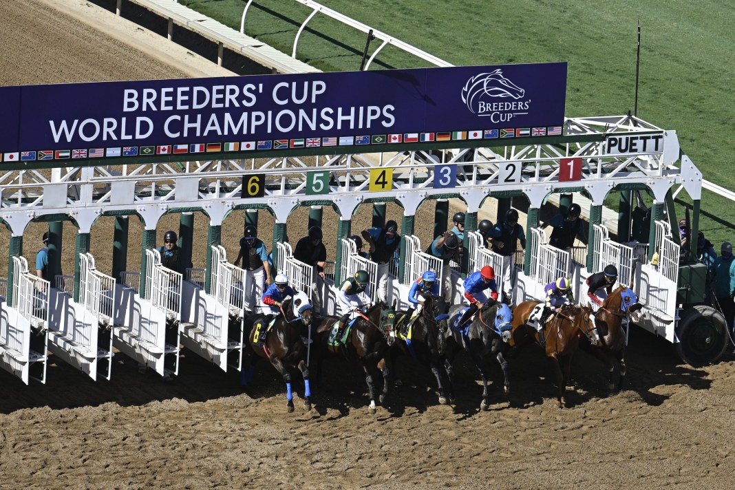 Horses leave the gate in racing held ahead of the 2024 Breeders' Cup Championship at Del Mar Thoroughbred Club.