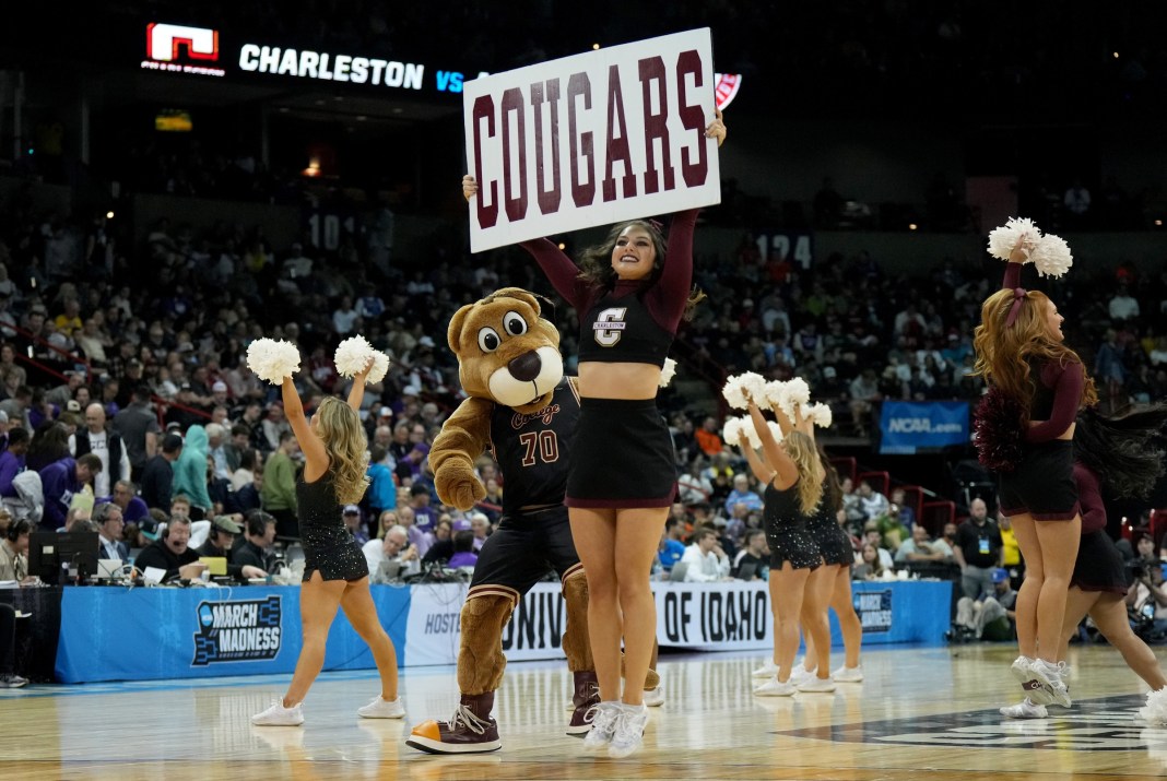 charleston cougars basketball