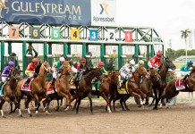 Horse Racing Picks for Saturday, December 6 from Mike Somich Gulfstream, horse racing