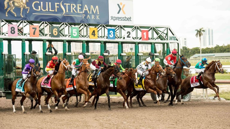 Gulfstream Picks for Saturday, January 18