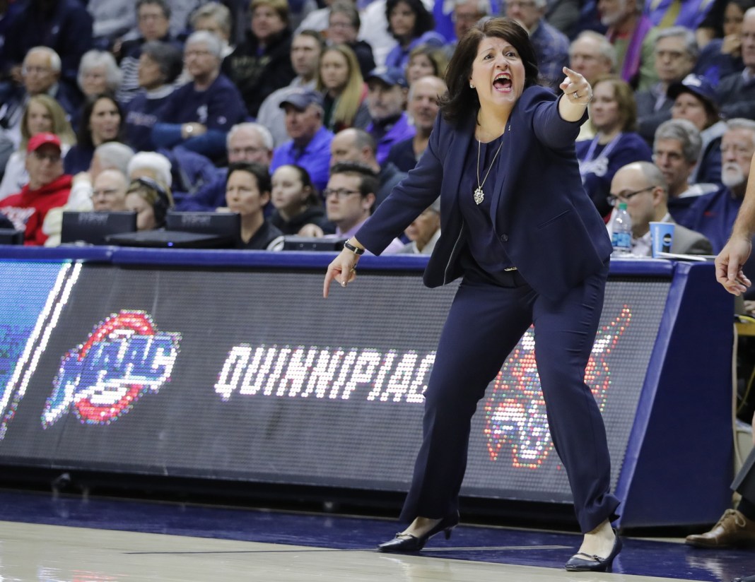 quinnipiac bobcats women's basketball head coach tricia fabbri