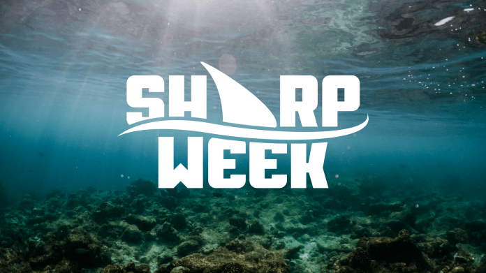 VSiN To Launch “Sharp Week” to Prepare Bettors for NCAA Basketball Tournament