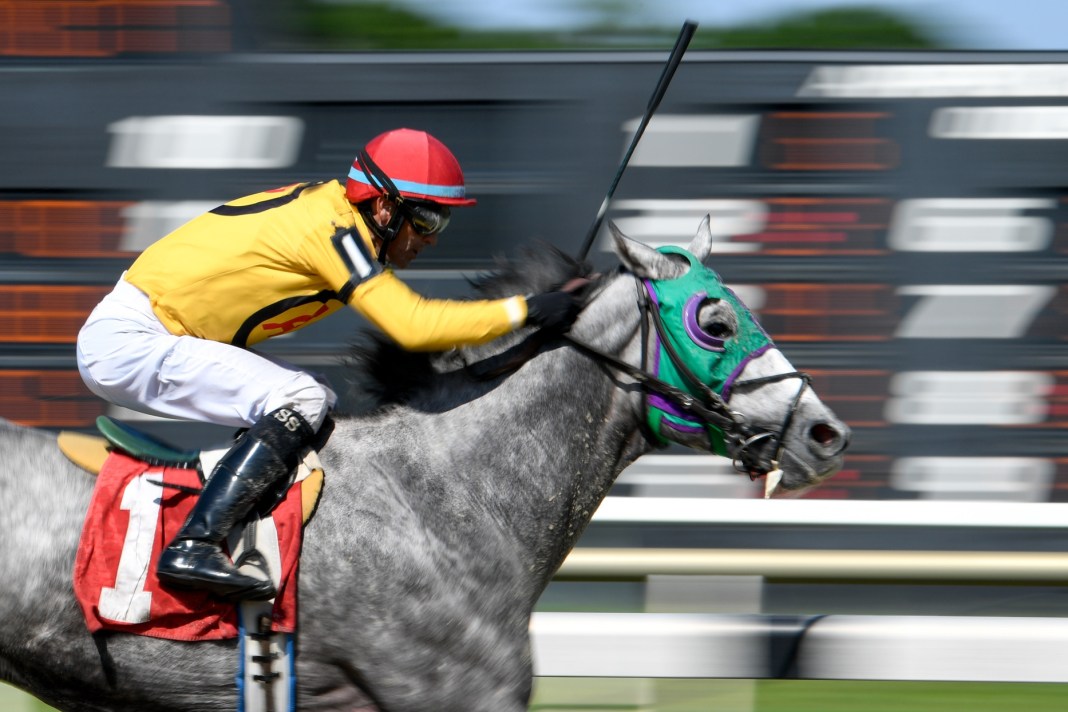 Tampa Downs, horse racing