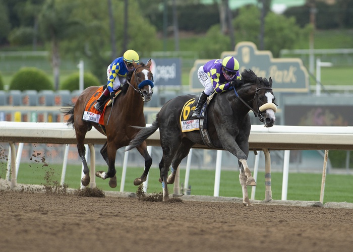 Horse Racing Picks Today at Santa Anita for Sunday, June 14