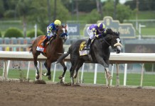Horse Racing Picks Today at Santa Anita for Sunday, June 14 horse racing