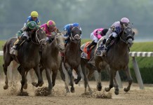 Aqueduct Horse Racing Picks and Predictions for Saturday, November 8 Aqueduct