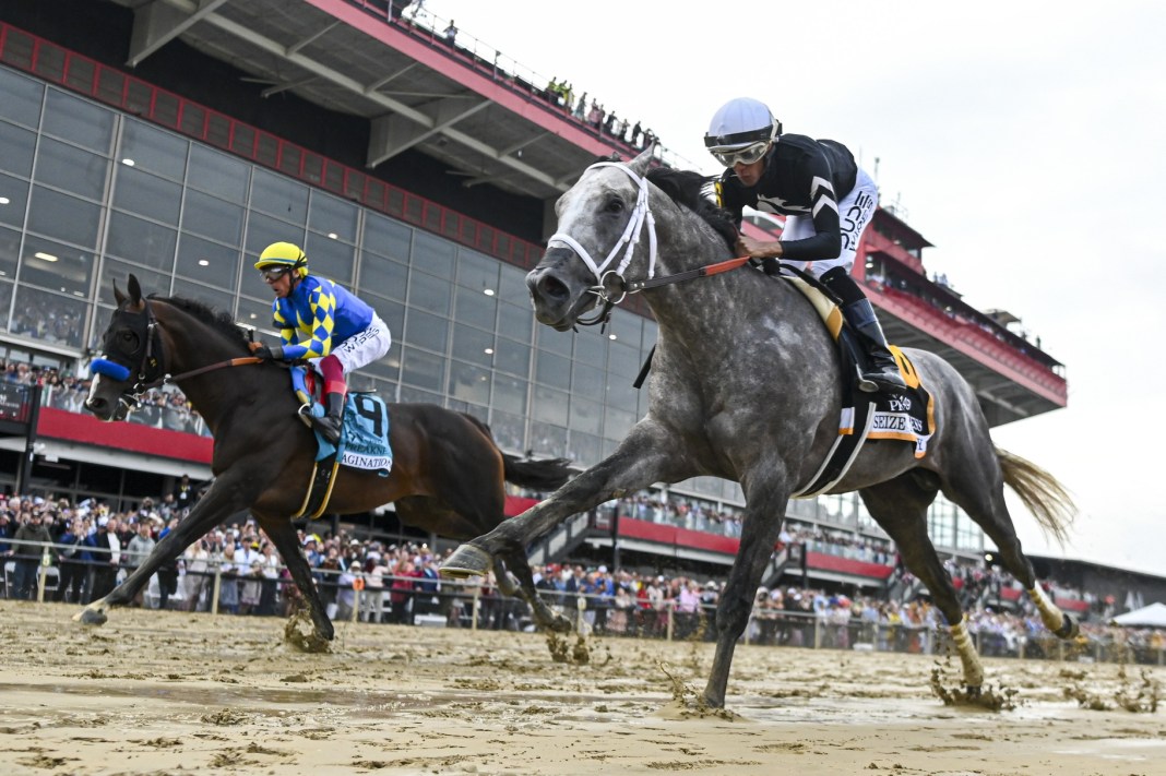 Pimlico, horse racing