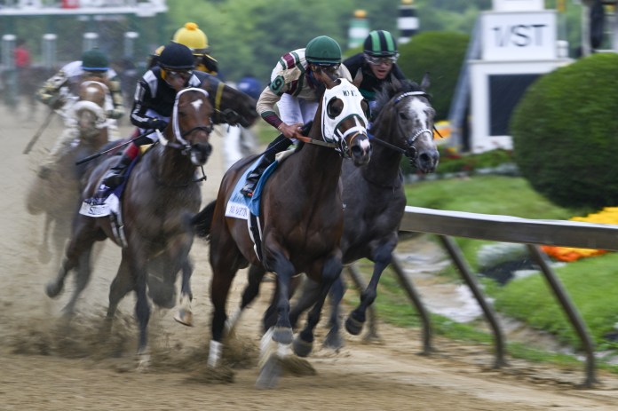 Preakness, Pimlico, horse racing