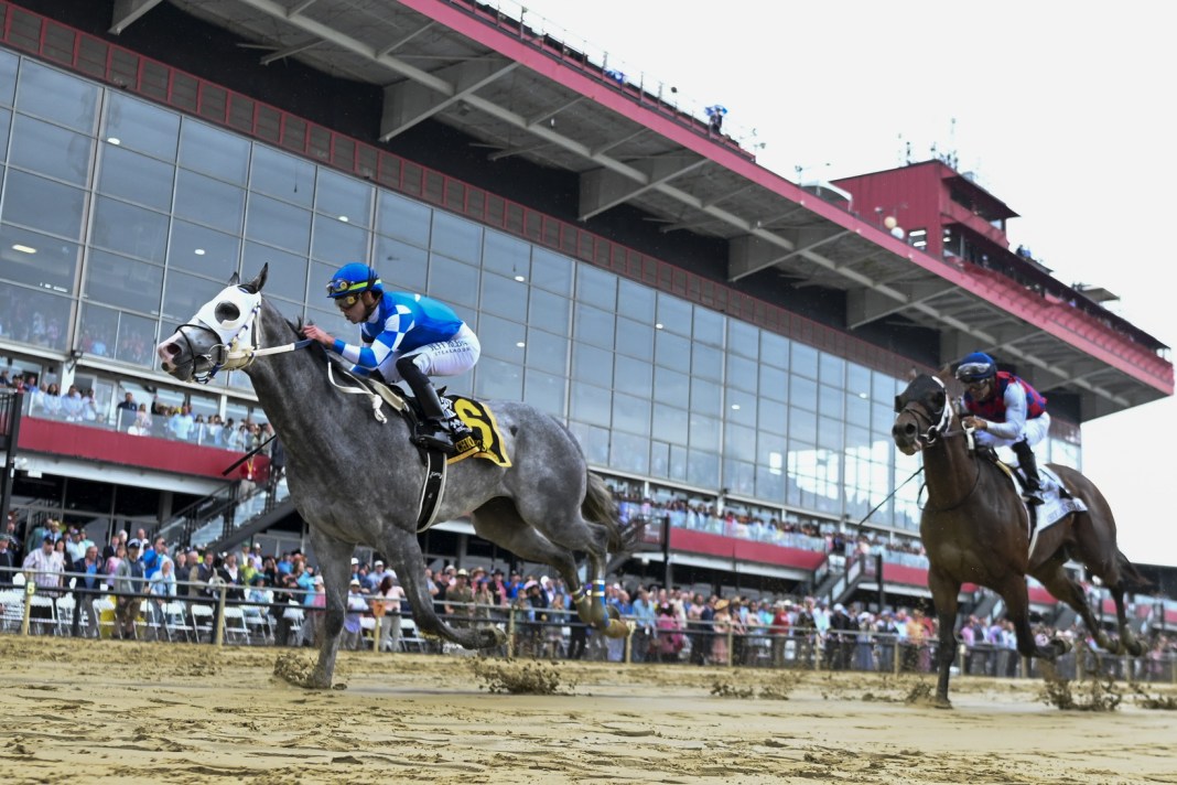 Preakness Stakes, Pimlico, Horse racing
