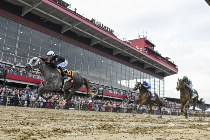 preakness stakes field 2025