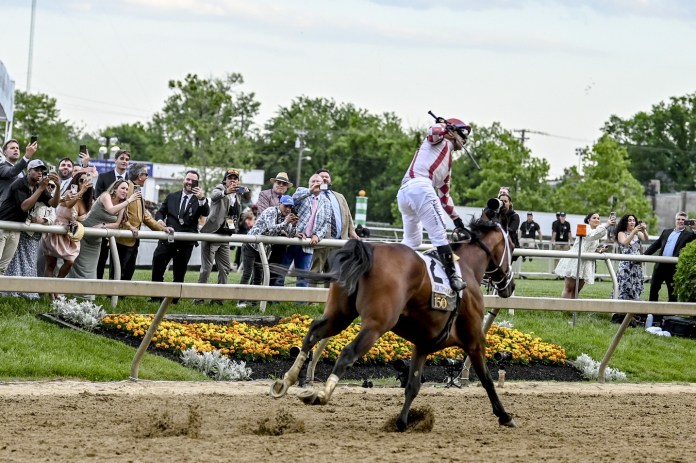 journalism belmont stakes