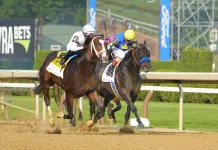 Aqueduct Horse Racing Picks and Predictions for Sunday, December 7 horse racing