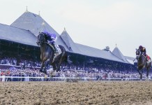 Travers Stakes Field: Horses, Jockeys, Trainers, and Mr. Ed’s Takes Sovereignty, Travers Stakes