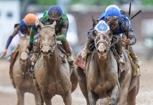 Oaklawn Park Horse Racing Picks and Predictions for Saturday, December 13 Kentucky, horse racing