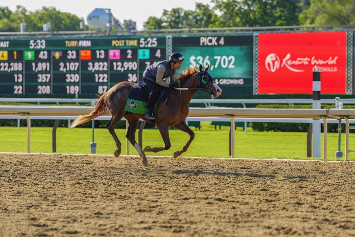 ballerina stakes saratoga race course