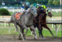 Horse Racing Picks Today at Parx Racing for Tuesday, March 10 Parx, horse racing