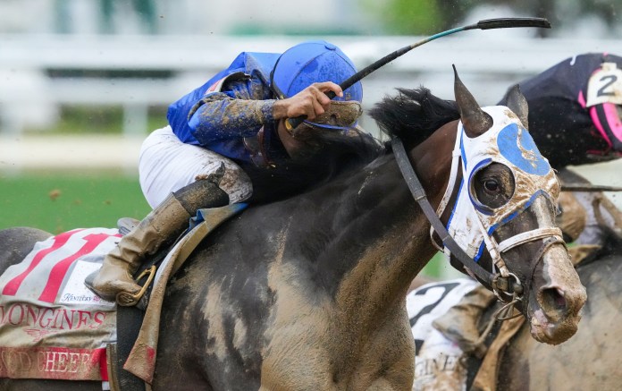 cotillion stakes parx racing 2025 predictions