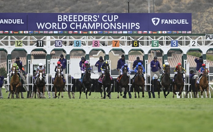 breeders cup juvenile turf 2025 odds entries