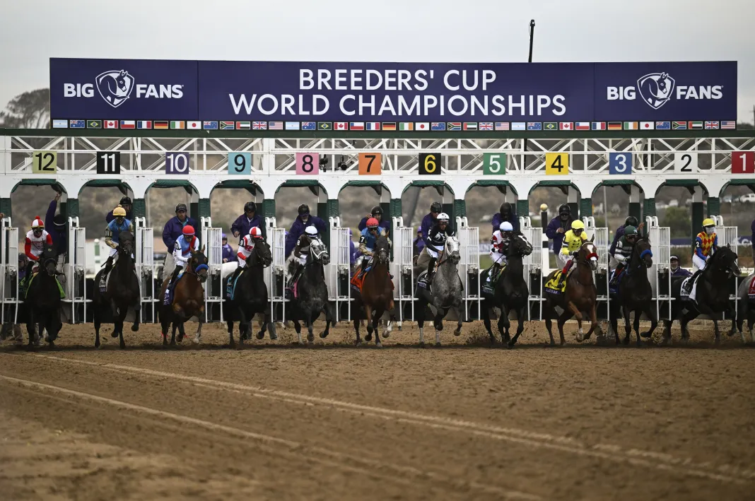 Horse Racing: 2024 Breeders' Cup Championship breeders cup distaff 2025 odds entries predictions