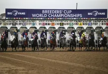 Breeders’ Cup Dirt Sprint Picks: 2025 Entries, Odds, and Analysis breeders cup distaff 2025 odds entries predictions
