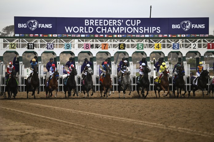 breeders cup filly and mare sprint 2025 picks predictions entries