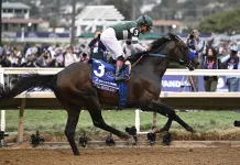 DRF Handicappers’ Consensus Picks for the 2025 Breeders’ Cup