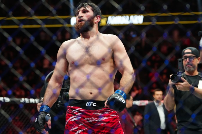 Magomed Ankalaev, UFC 320,