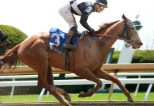 Horse Racing Picks Today at Keeneland for Thursday, April 9 Keeneland, horse racing