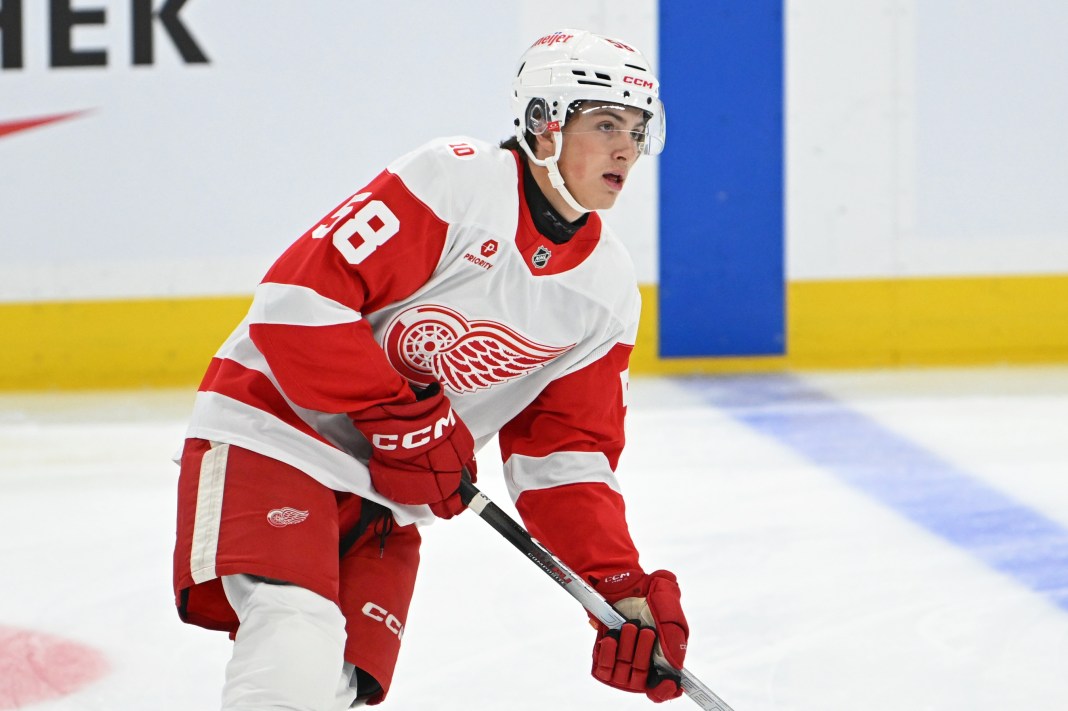 Jonathan Davis, Detroit Red Wings, NHL