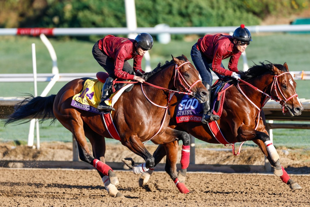 Horse Racing: 2025 Breeders Cup Championship-Workouts