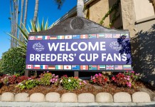 Breeders’ Cup Expert Picks: The Ultimate Handicapping Guide Breeders' Cup at Del Mar