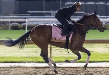 Mother Goose Stakes 2025 Entries, Horses, Odds, and Predictions mother goose stakes 2025 entries odds picks