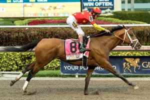 Horse Racing: Florida Derby Gulfstream Park, horse racing