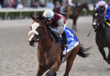 Horse Racing Picks for Saturday, January 31 from Mike Somich Gulfstream Park